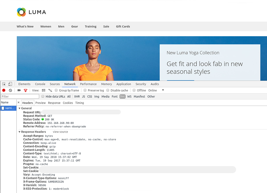 Varnish in Magento 2 [Basic Settings & Practical Use]