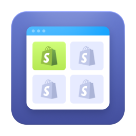 Custom Shopify App Development Service for Store Growth